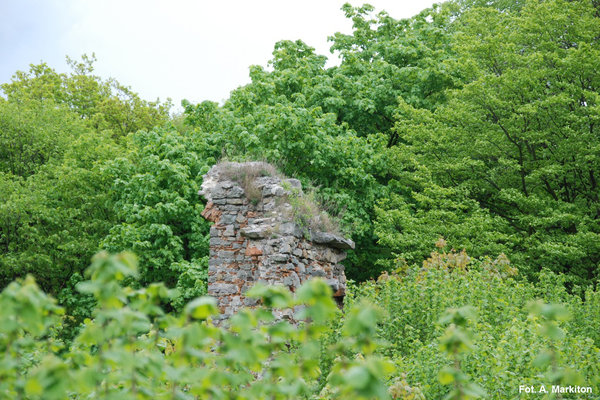 Międzygórz - Zamek - Zieleń otaczająca ruiny